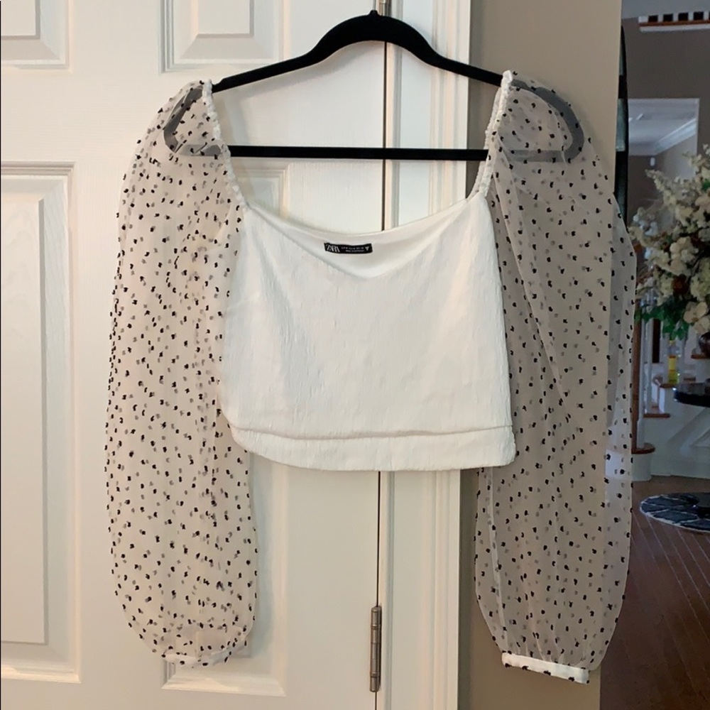 Zara Organza top